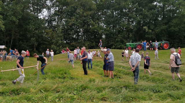 [foto: Nostalgische Boerendag Opende]