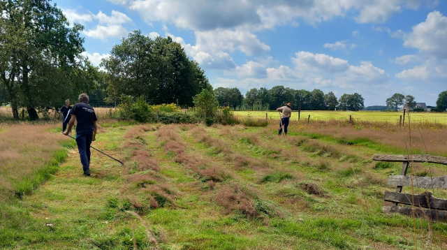 [foto: Orvelte]