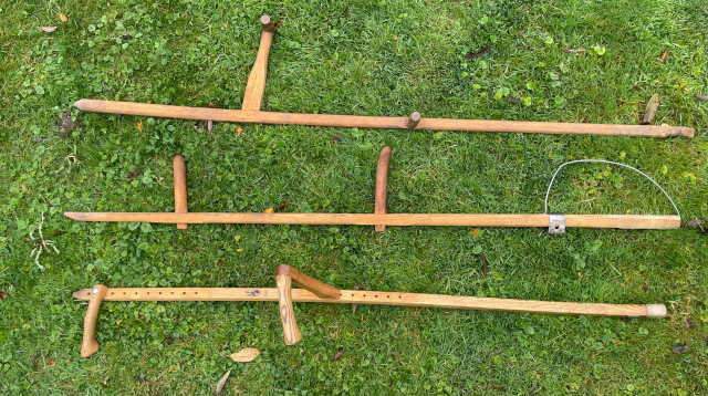 [foto: Zeisbomen]